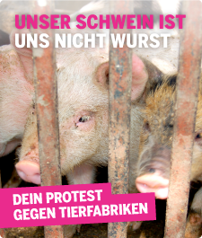 Unser Schwein ist uns nicht Wurst! Dein Protest gegen Tierfabriken.